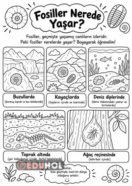 Fosiller boyama
