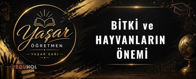 Bitki ve Hayvanların Önemi