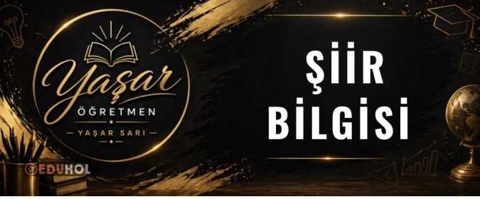 Şiir Bilgisi Çalışma Kağıdı