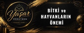 Bitki ve Hayvanların Önemi