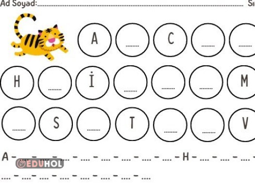 1. Sınıf Alfabetik Sıralama