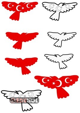 Bayraklı Kuşlar (Çift Yönlü)