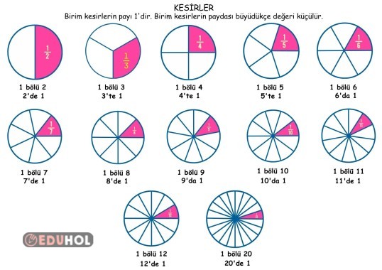 Kesirler Afiş - Basit Kesir- Birim Kesir