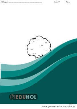 Nesnelerin geometrisi 2- Biçimlendirici Değerlendirme