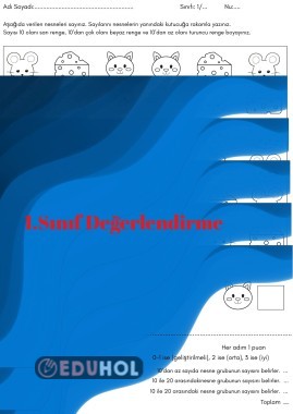 Sayılar Nicelik- Biçimlendirici Değerlendirme