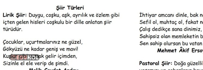 Şiir Türleri