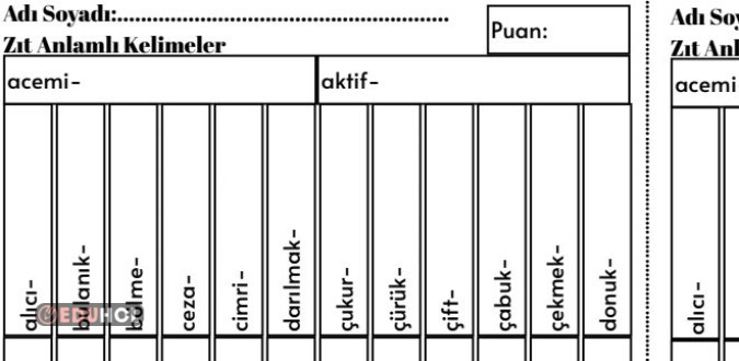 Zıt Anlamlı Kelimeler A,B,C,D Harfleri Değerlendirme