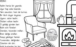 Akıcı Okuma-Şiir-Kedim