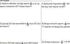 Kesirler Problemler