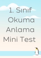 1. Sınıf Okuma Anlama Mini Test