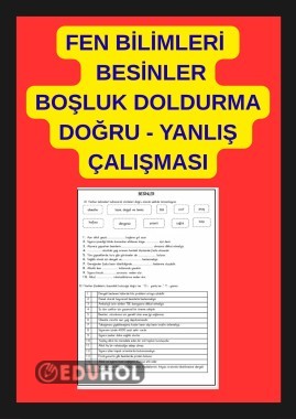 BESİNLER KONUSU BOŞLUK DOLDURMA DOĞRU - YANLIŞ