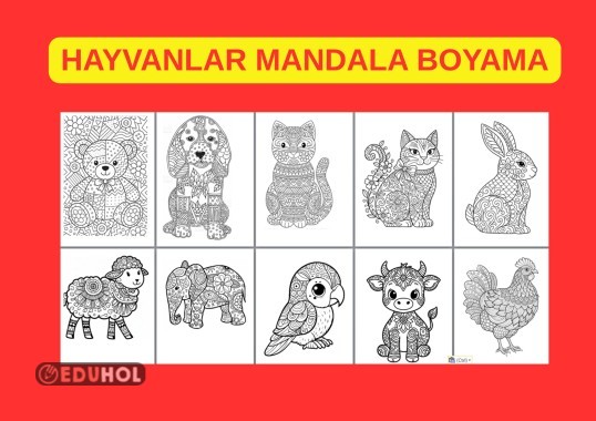 HAYVANLAR MANDALA ETKİNLİĞİ