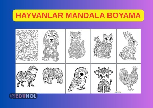 HAYVANLAR MANDALA ETKİNLİĞİ