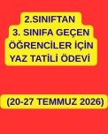 YAZ TATİLİ ÖDEVİ