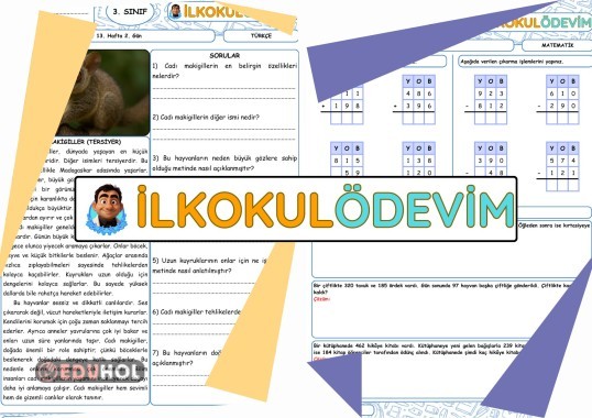Türkçe-Matematik 13. Hafta 2. Gün Ödevi