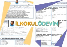 Hayat Bilgisi 2. Tema Değerlendirme