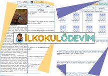 Türkçe Matematik 13. Hafta 3. Gün Ödevi