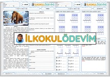Türkçe Matematik 14. Hafta 4. Gün Ödevi