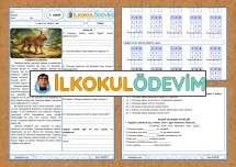 Türkçe Matematik 15. Hafta 1. Gün Ödevi