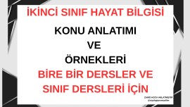2. SINIF HAYAT BİLGİSİ YÖNETİM BİRİMLERİ KONU ANLATIMI