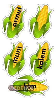 1. Sınıf M Sesi Okuma Etkinliği