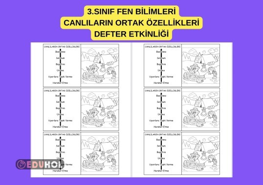 3.SINIF FEN BİLİMLERİ CANLILAR DÜNYASINA YOLCULUK ÇEVREMİZDEKİ VARLIKLARI TANIYALIM DEFTER ETKİNLİĞİ
