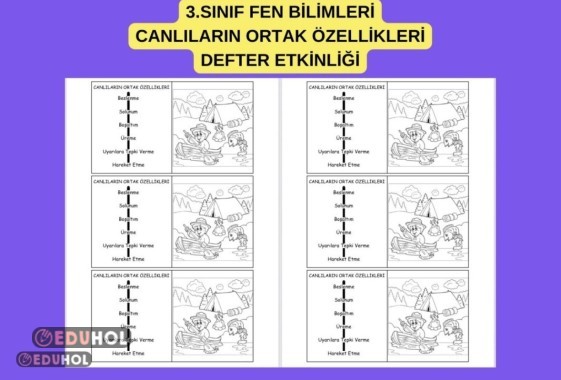 3.SINIF FEN BİLİMLERİ CANLILARIN ORTAK ÖZELLİKLERİ DEFTER ETKİNLİĞİ