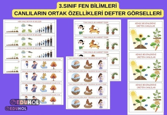3.SINIF FEN BİLİMLERİ CANLILARIN ORTAK ÖZELLİKLERİ DEFTER ETKİNLİKLERİ