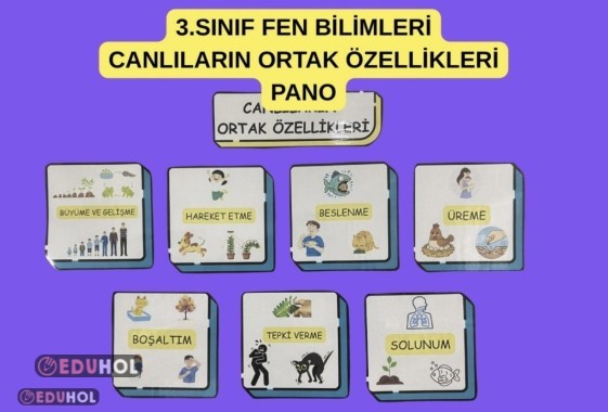 3.SINIF FEN BİLİMLERİ CANLILARIN ORTAK ÖZELLİKLERİ PANO AFİŞ ÇALIŞMASI