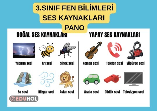3.SINIF FEN BİLİMLERİ / ÇEVREMİZDEKİ SESLER / SES KAYNAKLARI PANO