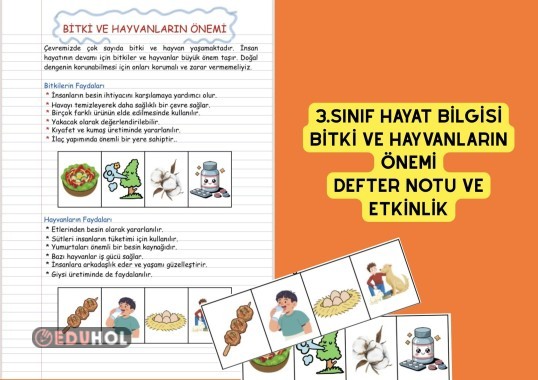 3.SINIF HAYAT BİLGİSİ BİTKİ VE HAYVANLARIN ÖNEMİ DEFTER NOTU VE ETKİNLİK