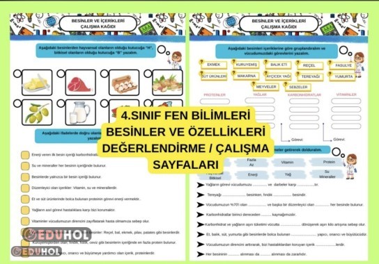 4.SINIF FEN BİLİMLERİ BESİNLER VE ÖZELLİKLERİ ÇALIŞMA KAĞIDI / DEĞERLENDİRME