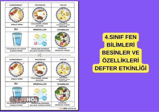 4.SINIF FEN BİLİMLERİ BESİNLER VE ÖZELLİKLERİ DEFTER ETKİNLİĞİ