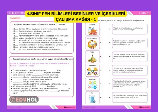 4.SINIF FEN BİLİMLERİ BESİNLERİMİZ ÇALIŞMA KAĞIDI ETKİNLİK