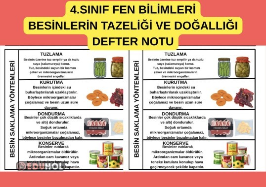 4.SINIF FEN BİLİMLERİ BESİNLERİN TAZELİĞİ VE DOĞALLIĞI DEFTER NOTU / KES YAPIŞTIR