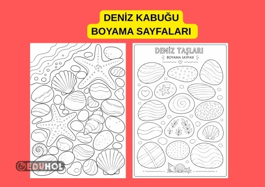 DENİZ KABUĞU BOYAMA SAYFLARI