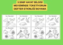 3.SINIF HAYAT BİLGİSİ MEVSİMİNDE TÜKETİYORUM İNTERAKTİF DEFTER ETKİNLİĞİ BOYAMA