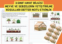 3.SINIF HAYAT BİLGİSİ MEYVE VE SEBZELERİN YETİŞME KOŞULLARI DEFTER NOTU VE KES YAPIŞTIR ETKİNLİK