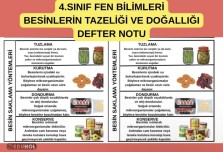 4.SINIF FEN BİLİMLERİ BESİNLERİN TAZELİĞİ VE DOĞALLIĞI DEFTER NOTU DEFTERE YAPIŞTIRMA