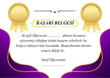 BAŞARI BELGESİ