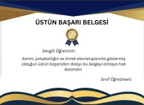 ÜSTÜN BAŞARI BELGESİ