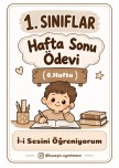 Hafta Sonu Ev Ödevi(6.Hafta)