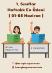 Haftalık Ev Ödevleri(1-5 Haziran)