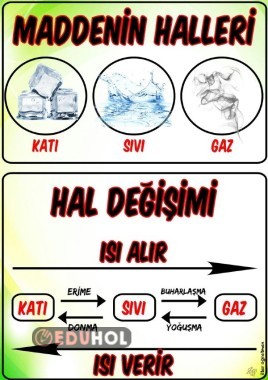Maddenin Halleri ve Hal Değişimi - Fen Bilimleri 3.Sınıf