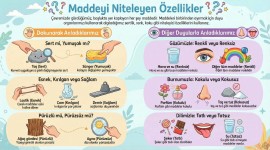 Maddeyi Niteleyen Özellikler - Fen Bilimleri