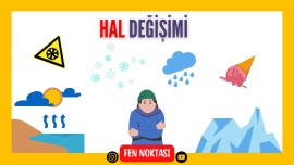 8 Sınıf- Hal Değişimi ve Grafikleri- Fen Noktası