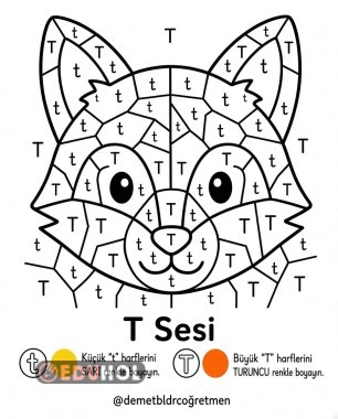 T Sesi Tilki Boyama