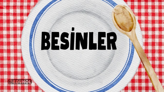4.sınıf besinler