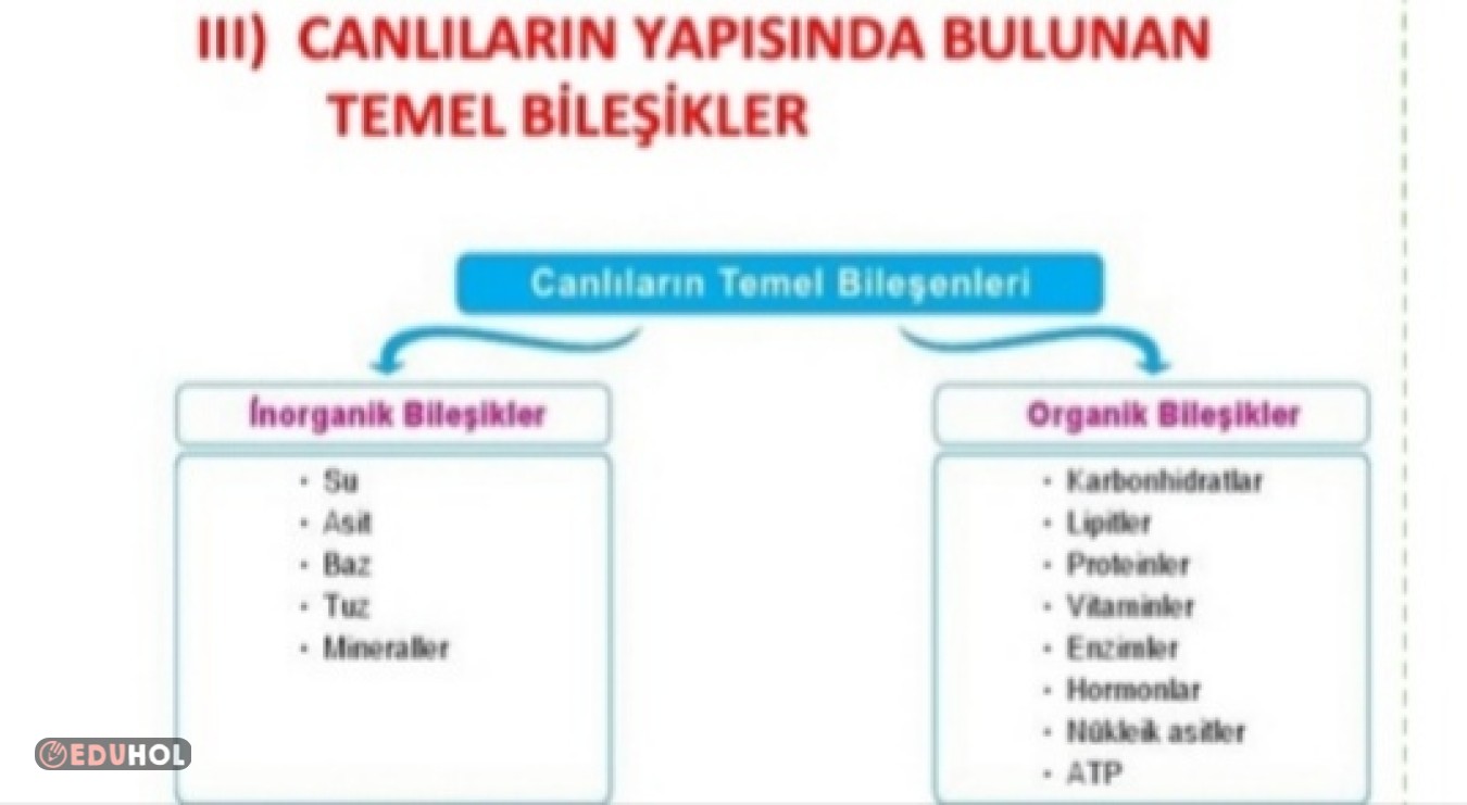 Canlıların Temel Bileşenleri- İnorganik Bileşenler