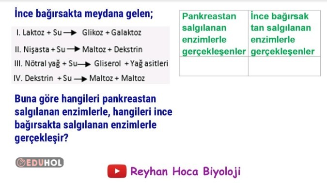 11. Sınıf Biyoloji 2.Dönem 1. ... | Eduhol - Ders Videoları İzle Online ...